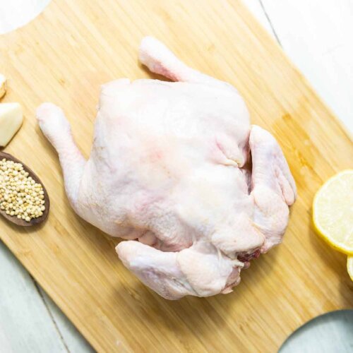 1604458886737_scale_500x500_85_color_not_blur_Oqr